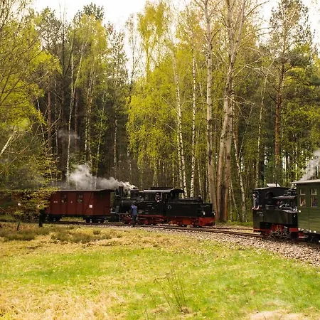 Appartement Ferienwohnung Schlossblick Direkt Gegenueber Dem Schloss, Rhododendronpark Mit Terrasse Und Wlan *